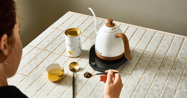 What is the best temperature controlled kettle?