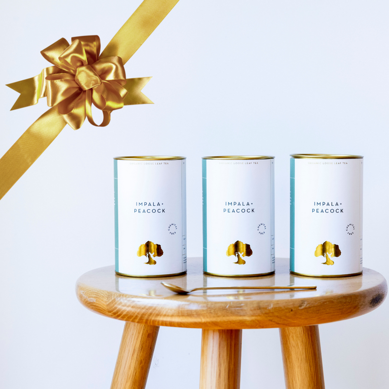 gift canisters for christmas