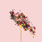 A dried flower arrangement in a yellow vase on a solid pale pink background. The bouquet features a mix of pink, red, yellow, and dark green botanical elements with some petals appearing to scatter around.