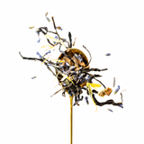 A decorative dried botanical arrangement on a thin gold-toned stem, featuring dark brown and black twig-like elements, small lavender-blue flower buds, and bright yellow accents, isolated on a white background.