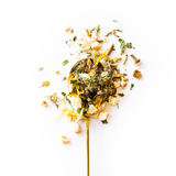 A spoonful of loose-leaf herbal tea with dried flowers, leaves, and yellow petals spilled onto a clean white background.