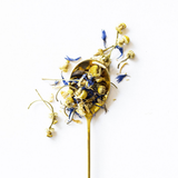 A gold spoon filled with dried chamomile tea and blue cornflowers, set against a solid white background.