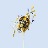 A gold spoon filled with dried yellow flowers and blue wildflowers, suspended against a solid light blue background.