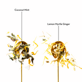 two teaspoons labeled with coconut mint and lemon myrtle ginger teas