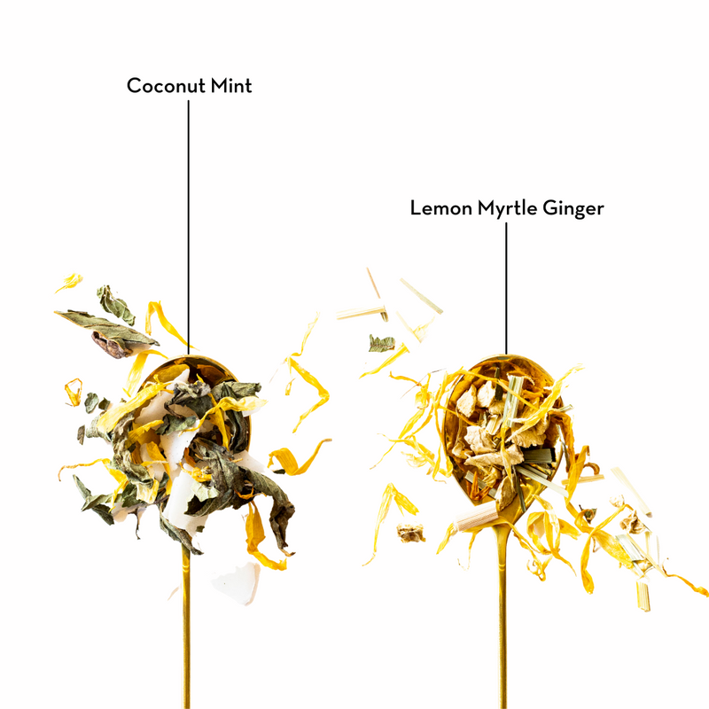 two teaspoons labeled with coconut mint and lemon myrtle ginger teas