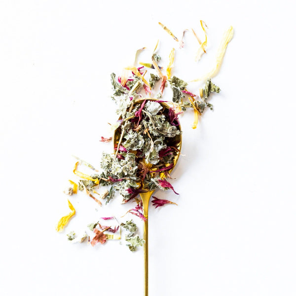 Chaste Tree Berries, Raspberry Leaf, Lady Mantle, Nettle, and Lemon Balm fertility tea for women
