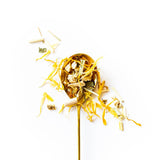 Lemongrass, ginger, lemon myrtle and calendula petals herbal tea