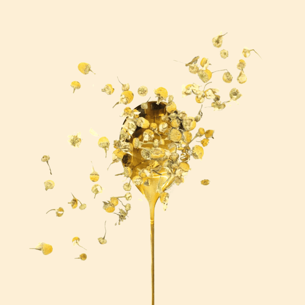 chamomile tea colour