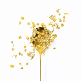 chamomile tea