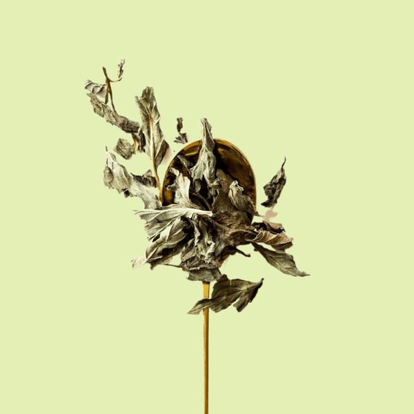 peppermint tea